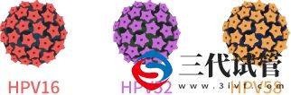 9價(jià)HPV疫苗擴(kuò)齡至9—45歲 為什么HPV疫苗對(duì)適齡女性如此重要？(圖2)