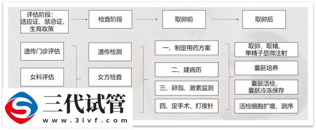 血友病攜帶者也能孕育健康寶寶，三代試管助力擺脫血友病“魔咒”(圖3)