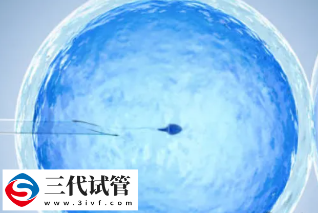 一文講清第三代試管的流程與費用，大概花費十萬到十二萬元(圖1)