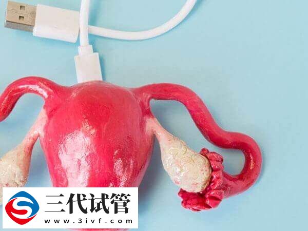 輸卵管粘連對試管嬰兒的影響有哪些(圖1)