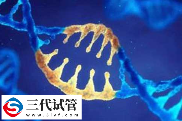 PGS與PGD技術的對比全解析！(圖2)