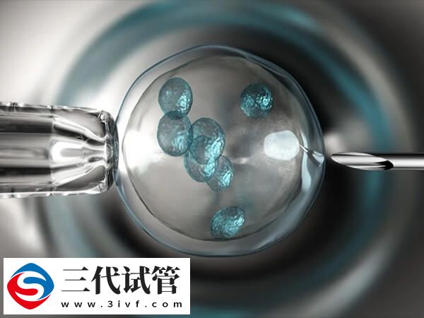 為什么二代試管嬰兒養(yǎng)囊成功率低(圖1)