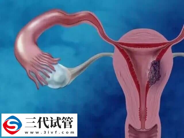 amh值偏低如何恢復(fù)(圖1)