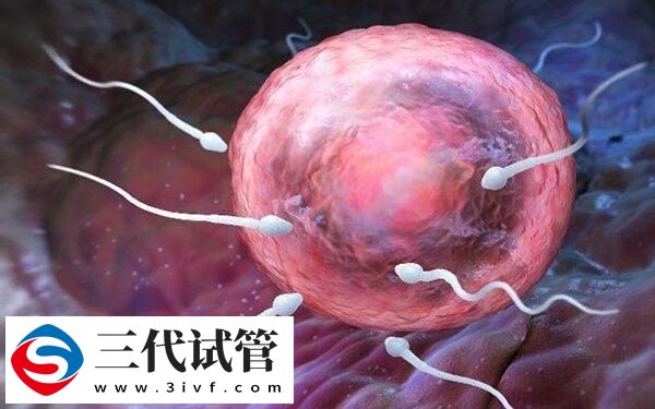 梗阻性無精癥怎么取精做試管嬰兒(圖1)