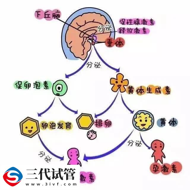 心理壓力會不會導致不孕不育(圖2)