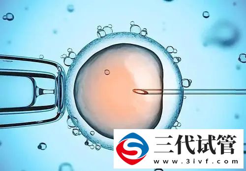 試管一、二、三代有何區(qū)別？(圖2)