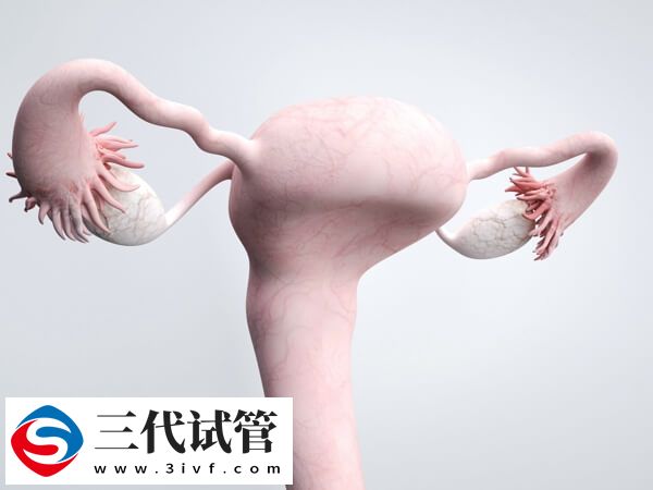 35歲雙角子做人工授精成功率多少(圖1)
