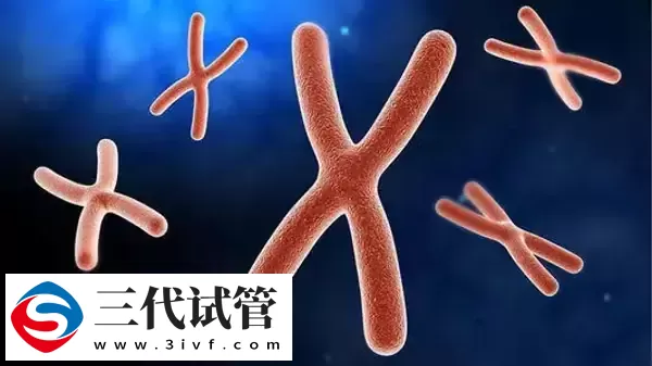 三代試管能篩查哪4類遺傳病(圖1)