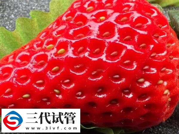 試管嬰兒促排后食欲不佳，多吃黃豆可緩解！(圖2)