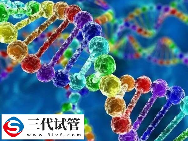 如何備孕才能優(yōu)生優(yōu)育(圖1)