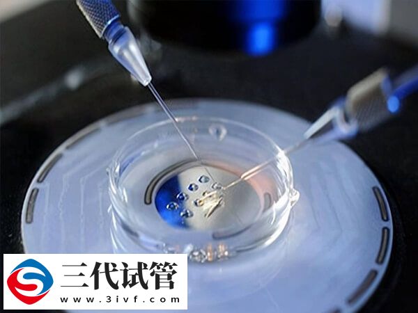 胚胎植入時(shí)有什么感覺(圖1)