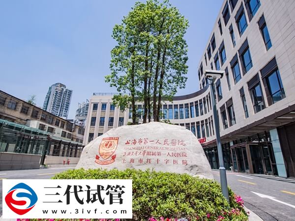 2024上海市三代試管嬰兒價格公開，第一人民醫(yī)院6萬起(圖1)