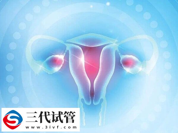 貴陽卵巢早衰供卵試管成功率多少(圖1)