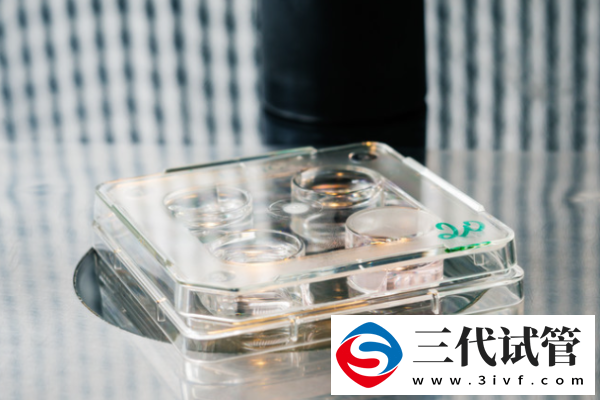 試管嬰兒胚胎移植數(shù)量是多少？科學(xué)選擇，安心好孕！(圖1)