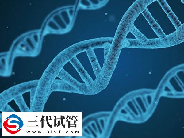 三代試管生男孩要不要走綠道(圖2)