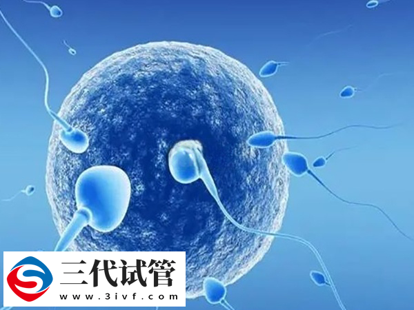 三代試管生男孩要不要走綠道(圖3)