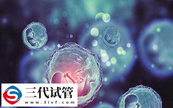 柬埔寨做三代試管是否必須要父親(圖2)