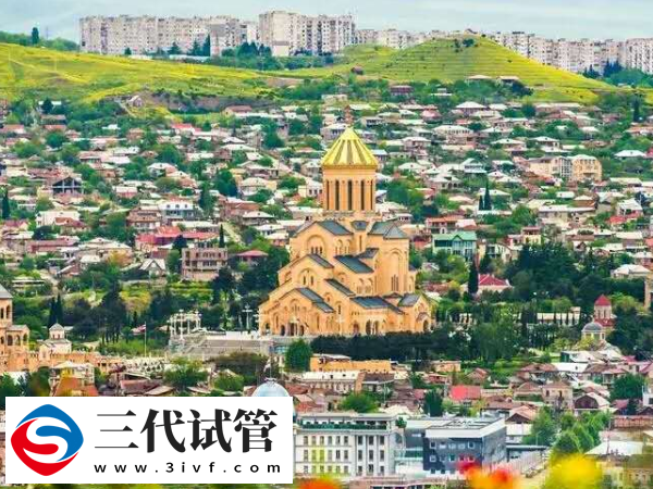 柬埔寨做三代試管是否必須移民(圖2)