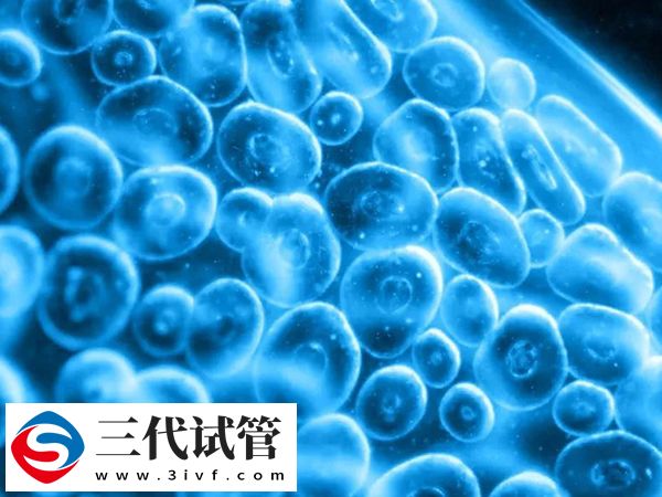 二促三移失敗要不要選三代試管(圖1)