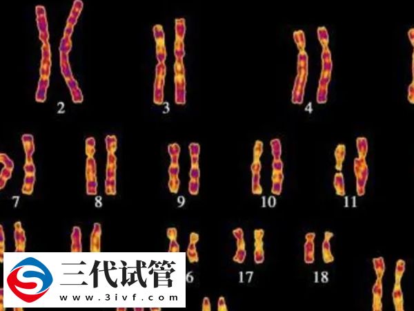 二促三移失敗要不要選三代試管(圖2)