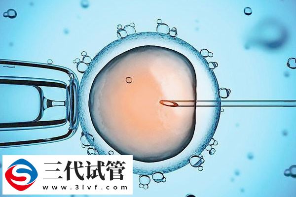 少弱精做三代胚胎篩選試管成功率會(huì)不會(huì)更高(圖2)