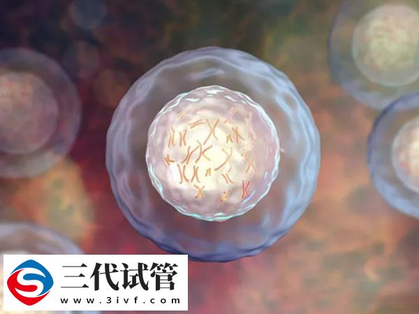 三代篩查不合格的胚胎醫(yī)院會怎么處理(圖1)