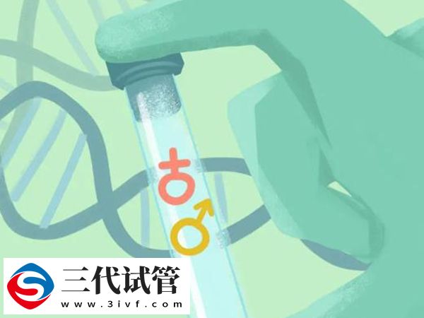 試管嬰兒三代挑性別準不準(圖1)