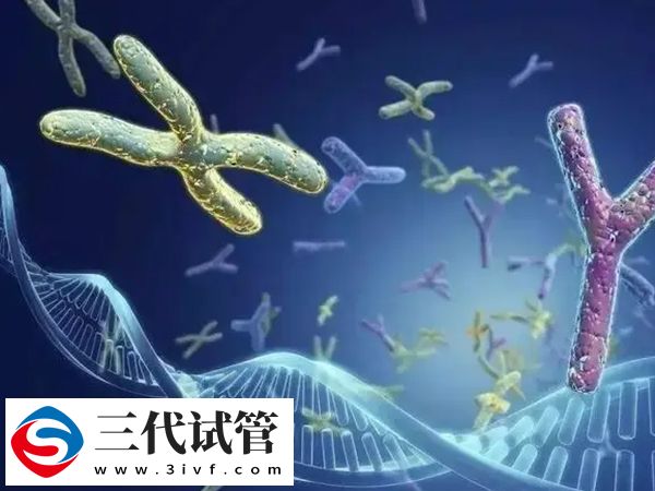 試管嬰兒三代挑性別準不準(圖2)