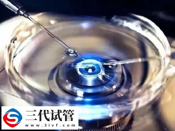 三代囊胚送檢通過率高不高(圖2)