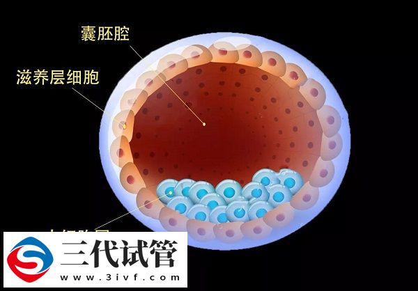 三代囊胚送檢通過率高不高(圖1)