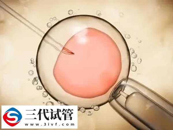三代試管篩查男女會不會影響胚胎(圖2)