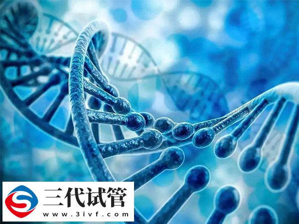 三代試管篩查男女會不會影響胚胎(圖1)
