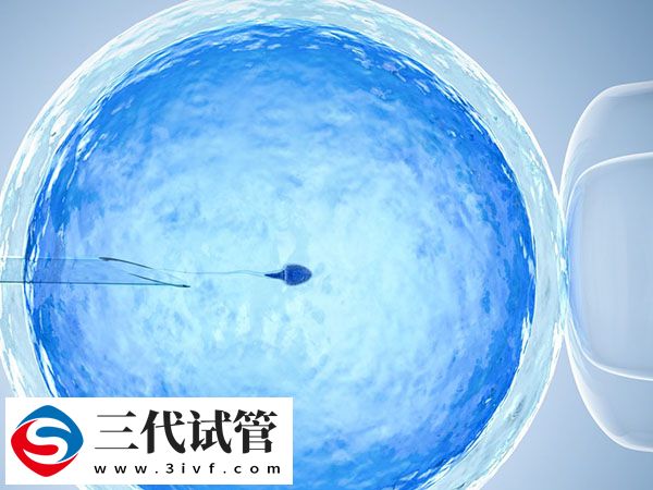 三代促排卵泡14個受精6個正常不(圖1)