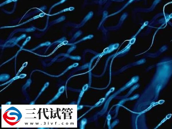 三代促排卵泡14個受精6個正常不(圖2)