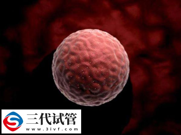 三代促排卵泡14個受精6個正常不(圖3)