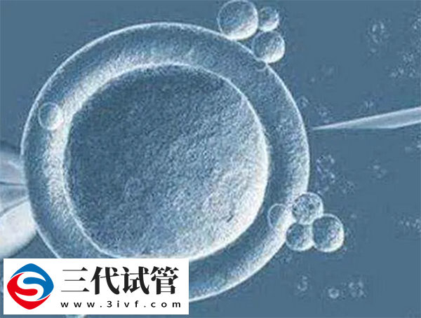 三代試管促排后多久移植(圖2)