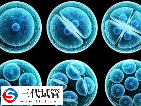 鮮胚移植和凍胚移植有什么區(qū)別(圖1)