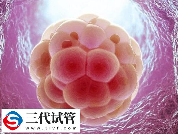 試管嬰兒單囊胚移植適不適合OHSS風(fēng)險高的女性？(圖1)