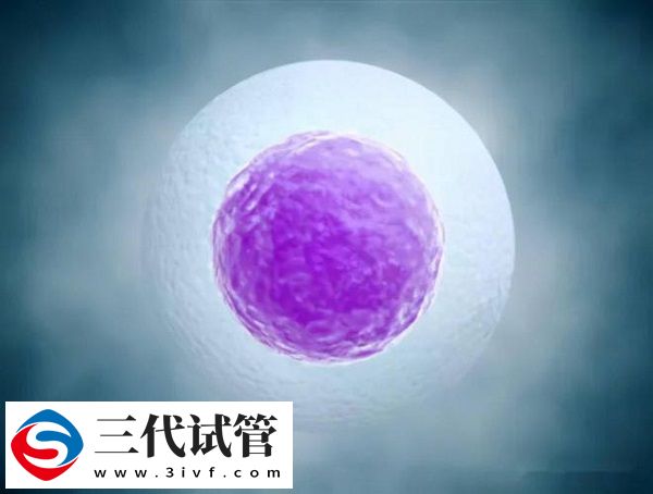 二代試管轉(zhuǎn)三代試管要不要重新開始(圖3)
