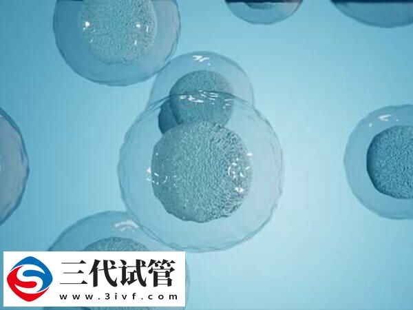 試管移植前針灸加艾灸有什么用(圖2)