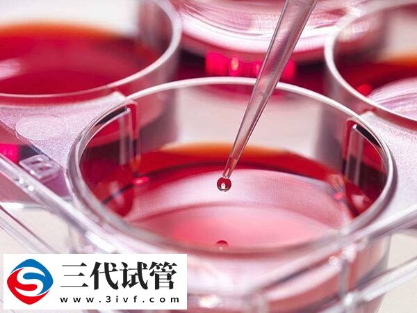 移植后如何知道胚胎著床了(圖1)