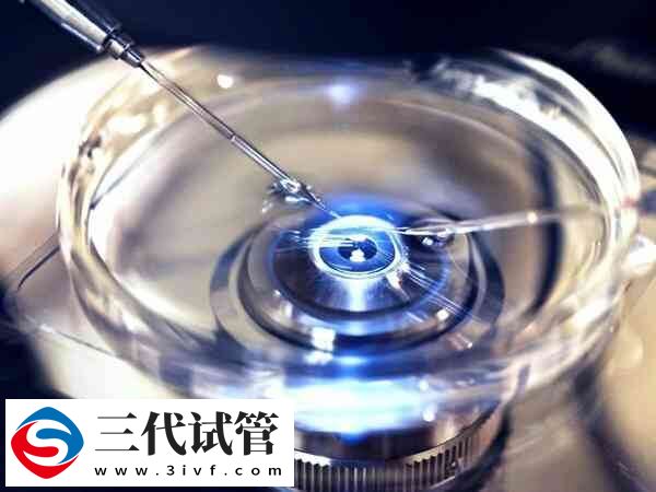 取卵后可以吃什么食物(圖1)