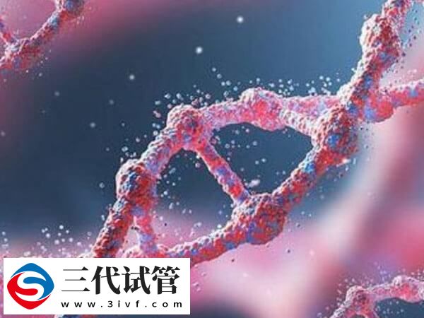 第三代試管嬰兒胚胎植入前遺傳學(xué)篩查是怎么進(jìn)行的？(圖1)