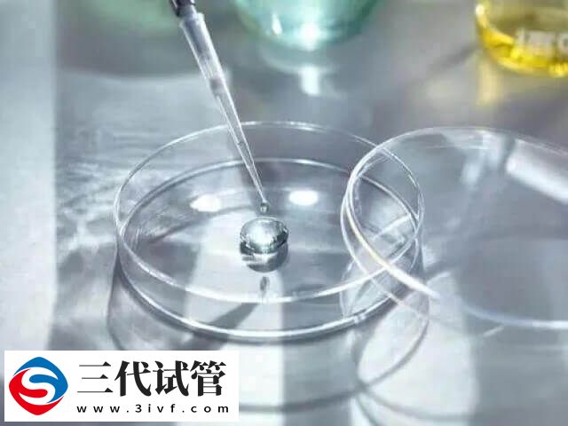 第三代試管嬰兒可以移植兩枚胚胎生雙胞胎嗎？(圖1)