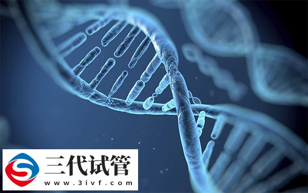 選擇第三代試管嬰兒會比第一代更好成功率更高嗎？(圖2)