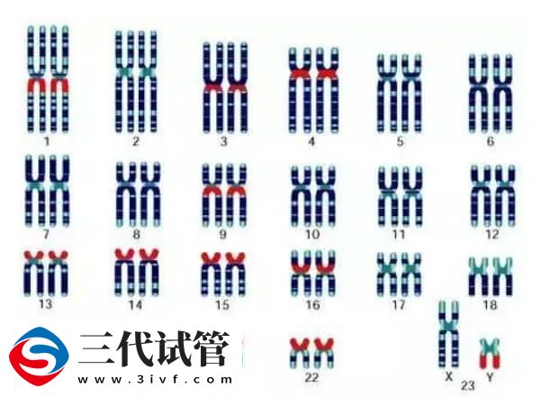 試管嬰兒PGT技術(shù)是能在胚胎植入前檢測(cè)染色體問(wèn)題嗎？(圖3)