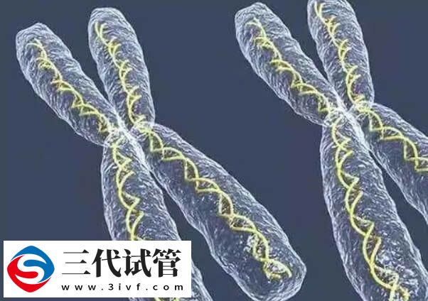 試管嬰兒PGT技術(shù)是能在胚胎植入前檢測(cè)染色體問(wèn)題嗎？(圖4)