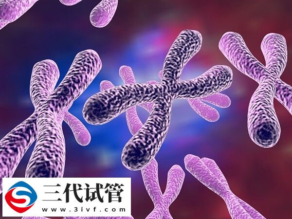 女性alport綜合癥做三代試管能生健康寶寶嗎？(圖1)