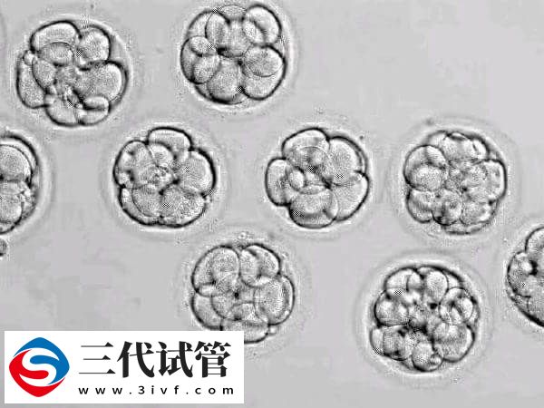 高齡試管一次移植幾個(gè)(圖1)