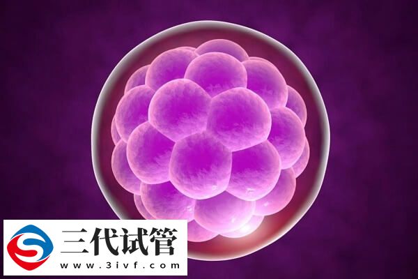 高齡試管一次移植幾個(gè)(圖2)